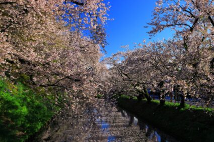 Aomori Prefecture